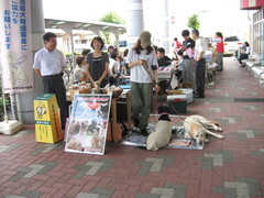 盲導犬協会の方々