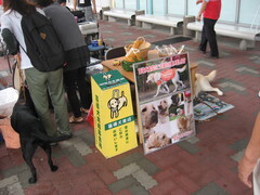 盲導犬の募金活動も行いました