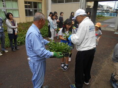 児童の代表が植栽します