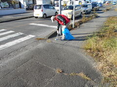 清掃活動を行うクラブ員